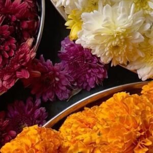 Temple Blooms